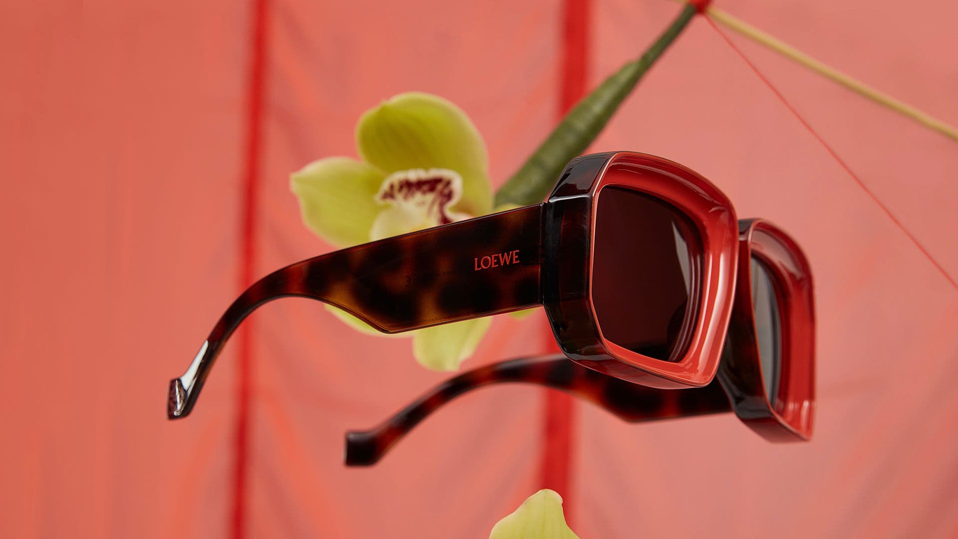 Suspended Botanicals - Full view