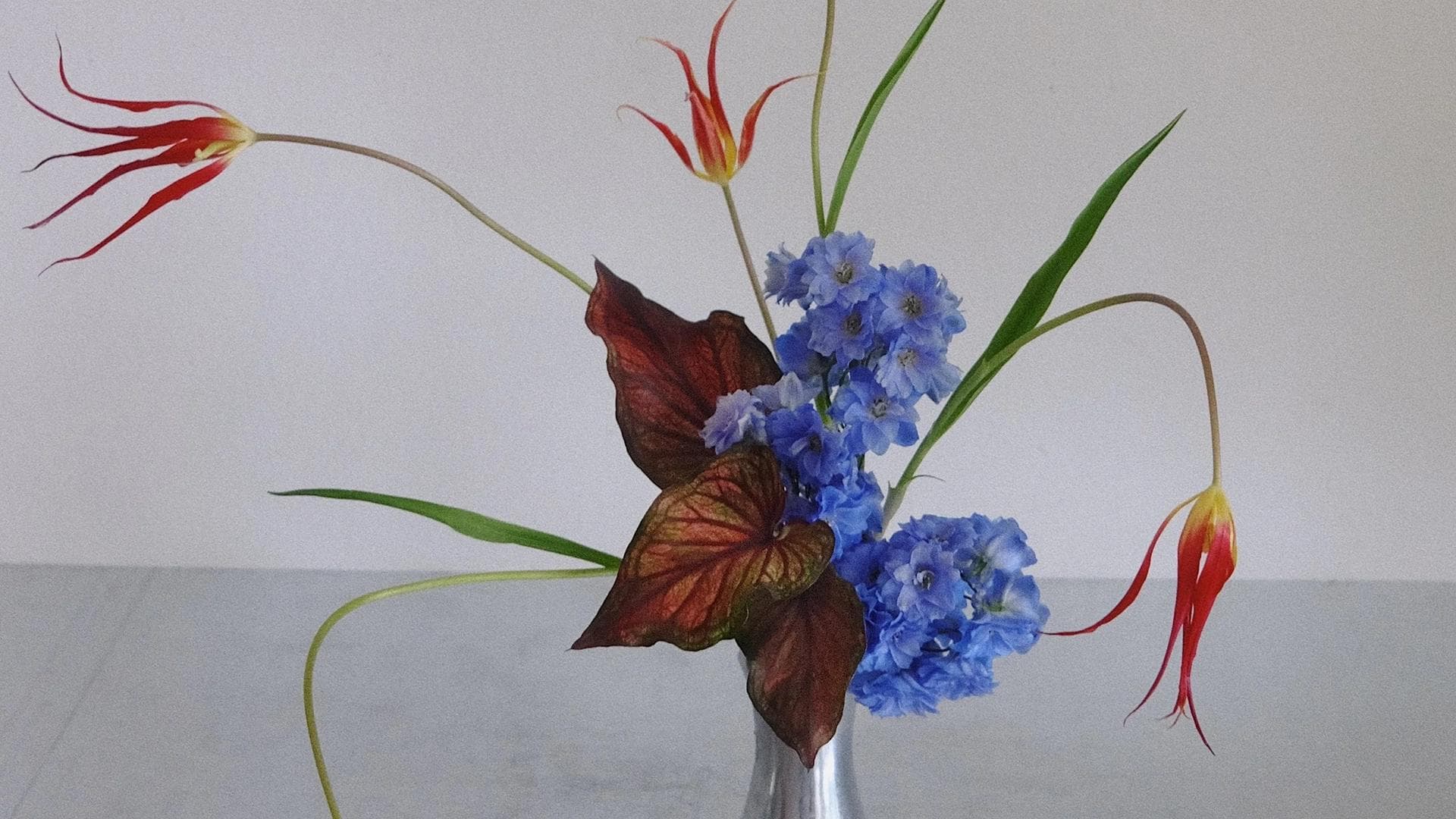 FORM FOLLOWS FLORA - Full view